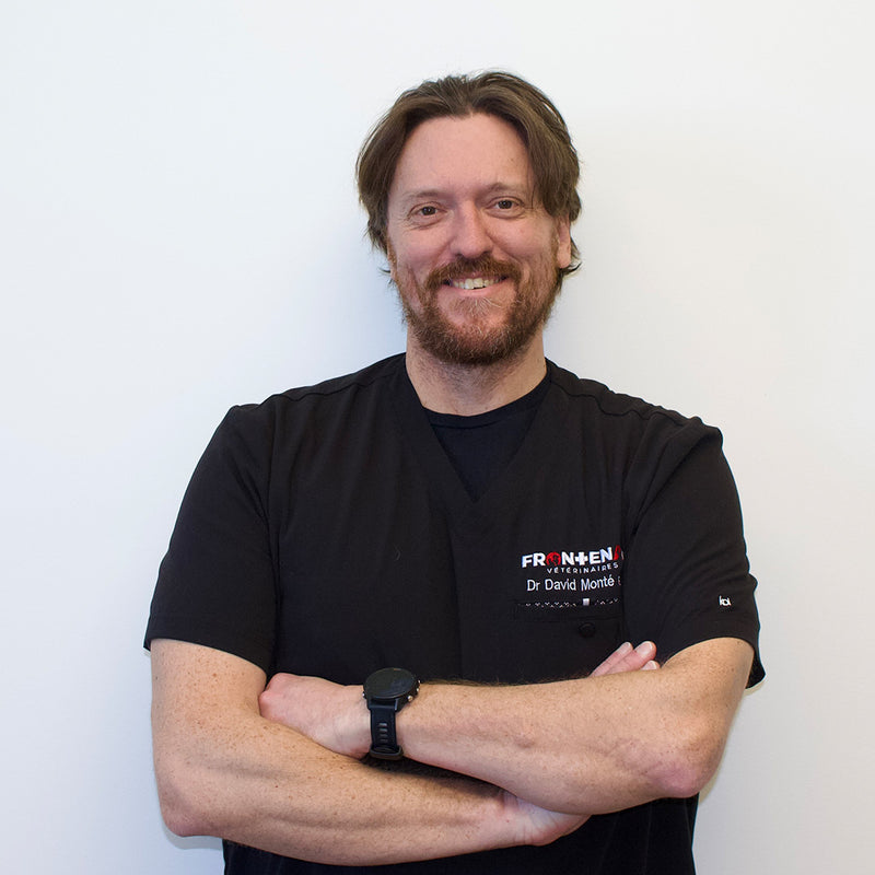 DR. DAVID MONTÉ