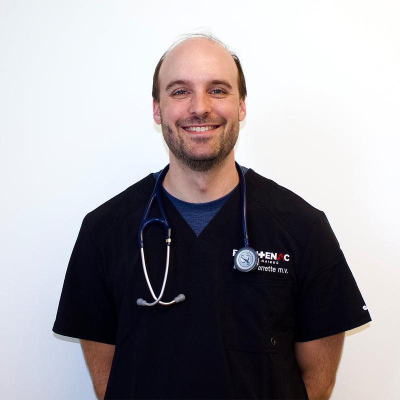 DR. LUC VERRETTE